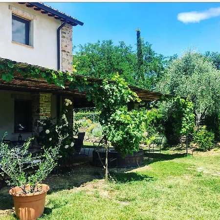Bosco Ai Marzi