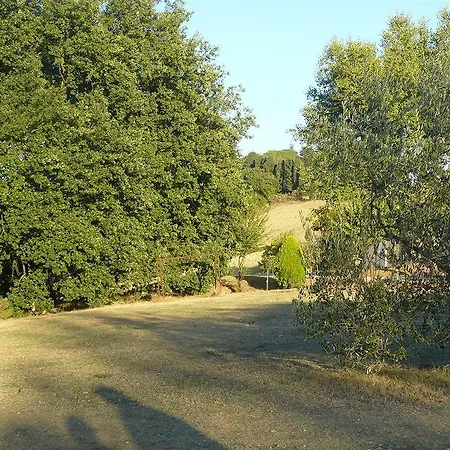 Bosco Ai Marzi